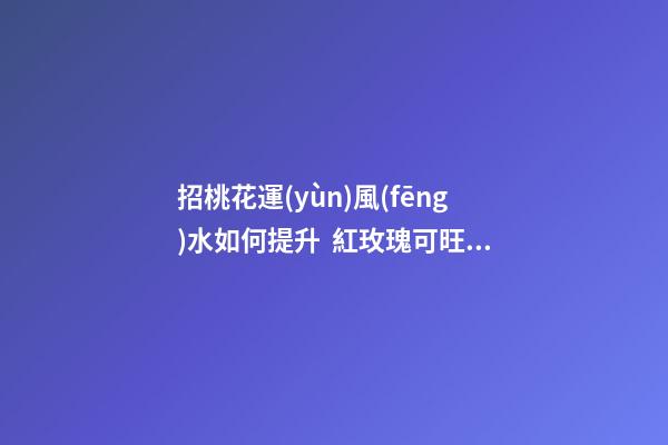 招桃花運(yùn)風(fēng)水如何提升  紅玫瑰可旺姻緣